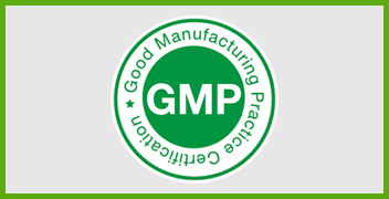gmp logo